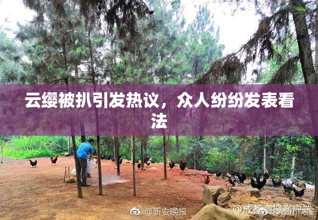 云缨被扒引发热议，众人纷纷发表看法
