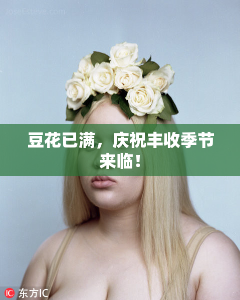 豆花已满，庆祝丰收季节来临！