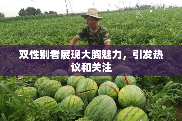 双性别者展现大胸魅力，引发热议和关注