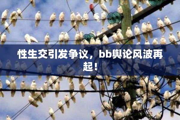 性生交引发争议，bb舆论风波再起！