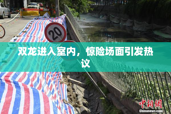 双龙进入室内，惊险场面引发热议