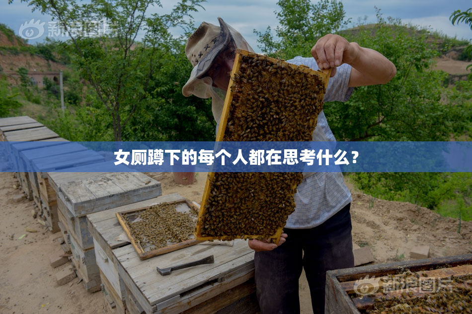 女厕蹲下的每个人都在思考什么？
