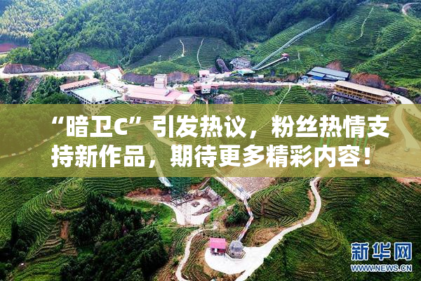 “暗卫C”引发热议，粉丝热情支持新作品，期待更多精彩内容！