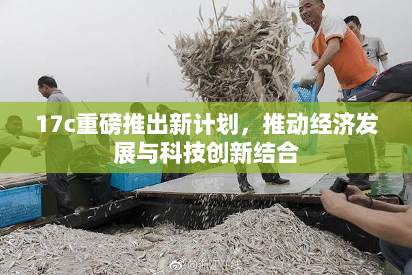 17c重磅推出新计划，推动经济发展与科技创新结合