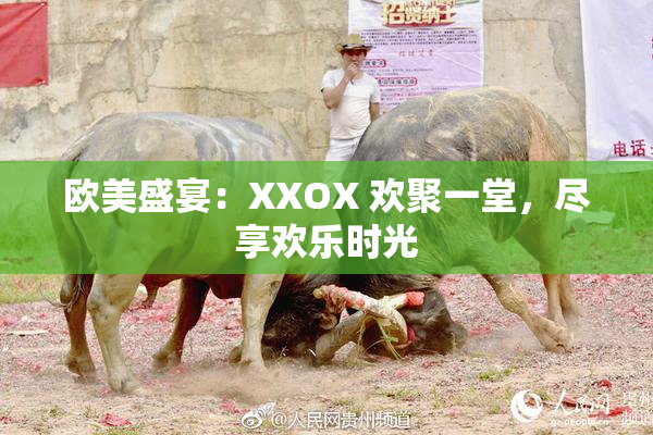 欧美盛宴：XXOX 欢聚一堂，尽享欢乐时光