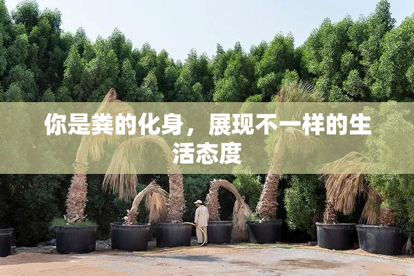 你是粪的化身，展现不一样的生活态度