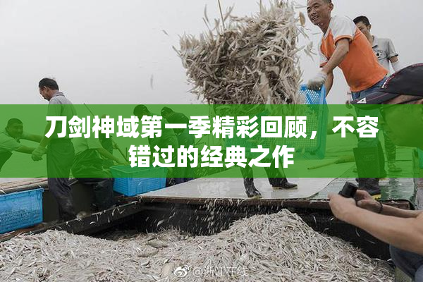 刀剑神域第一季精彩回顾，不容错过的经典之作
