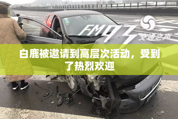 白鹿被邀请到高层次活动，受到了热烈欢迎