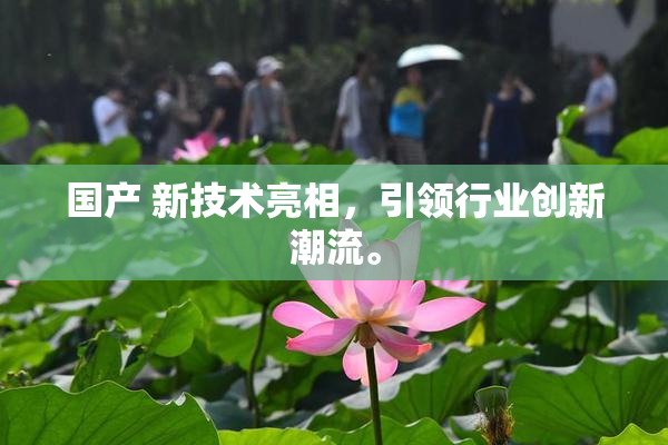 国产 新技术亮相，引领行业创新潮流。