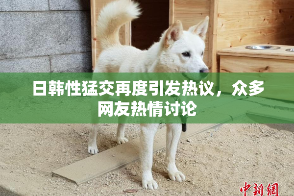 日韩性猛交再度引发热议，众多网友热情讨论