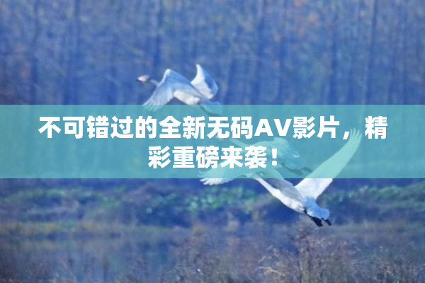 不可错过的全新无码AV影片，精彩重磅来袭！