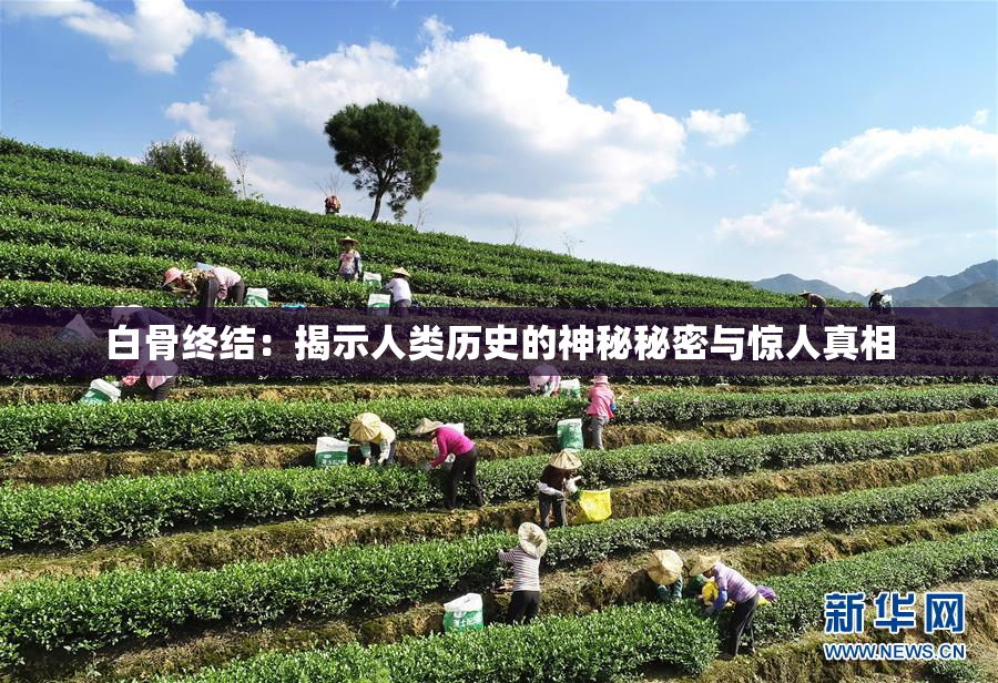 白骨终结：揭示人类历史的神秘秘密与惊人真相