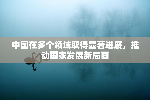 中国在多个领域取得显著进展，推动国家发展新局面
