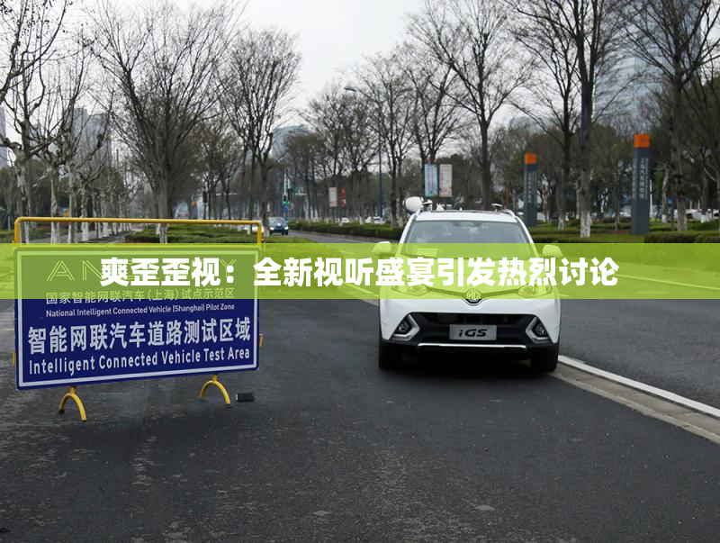 爽歪歪视：全新视听盛宴引发热烈讨论