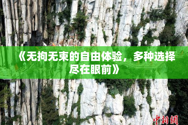 《无拘无束的自由体验，多种选择尽在眼前》