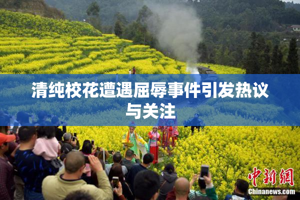 清纯校花遭遇屈辱事件引发热议与关注