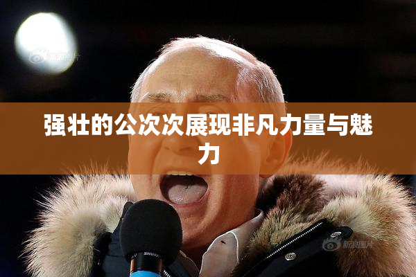 强壮的公次次展现非凡力量与魅力
