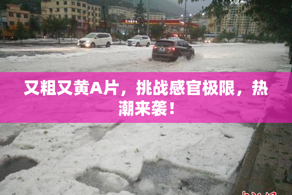 又粗又黄A片，挑战感官极限，热潮来袭！