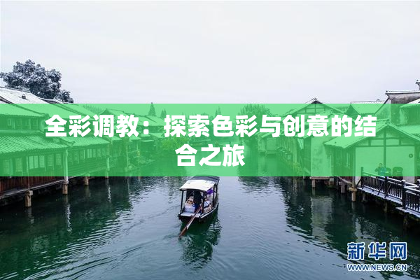 全彩调教：探索色彩与创意的结合之旅