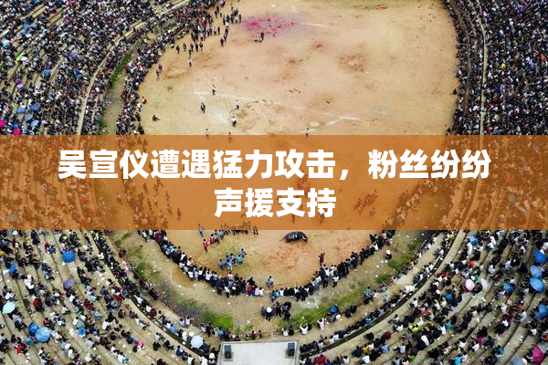 吴宣仪遭遇猛力攻击，粉丝纷纷声援支持
