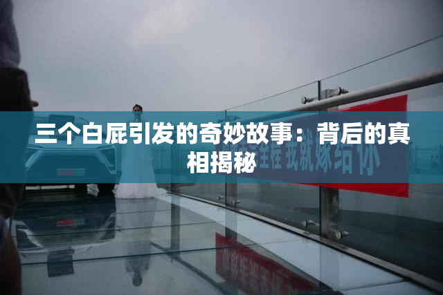 三个白屁引发的奇妙故事：背后的真相揭秘