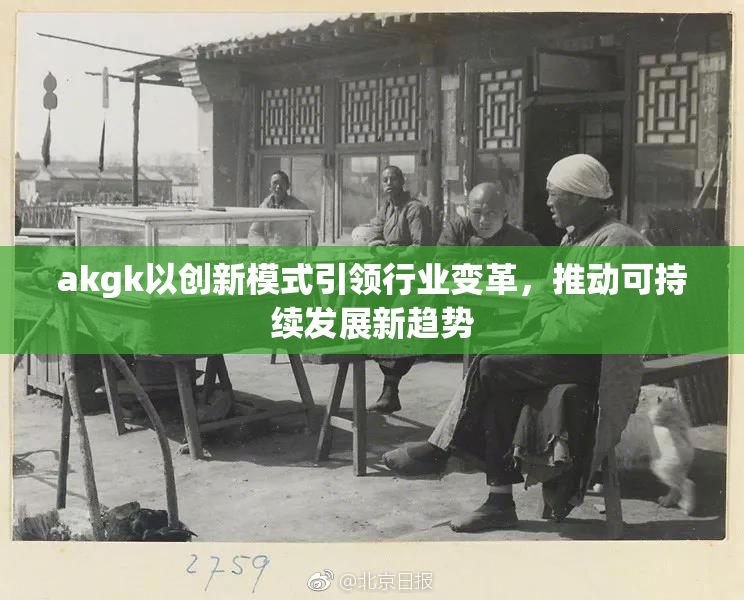 akgk以创新模式引领行业变革，推动可持续发展新趋势