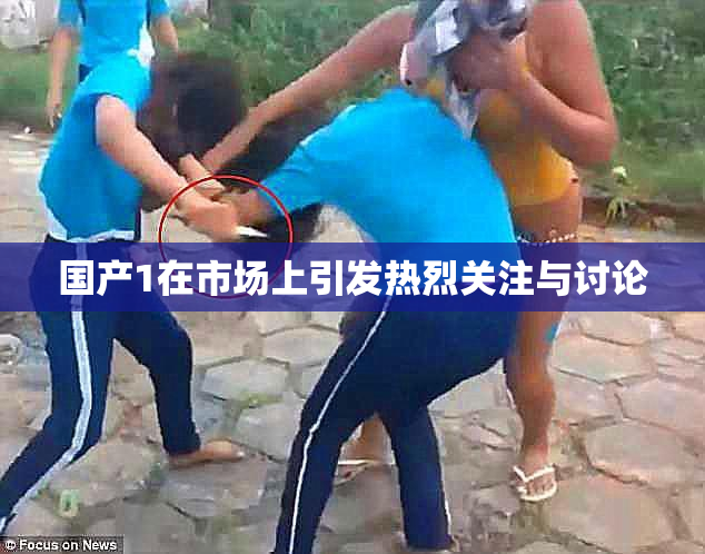 国产1在市场上引发热烈关注与讨论
