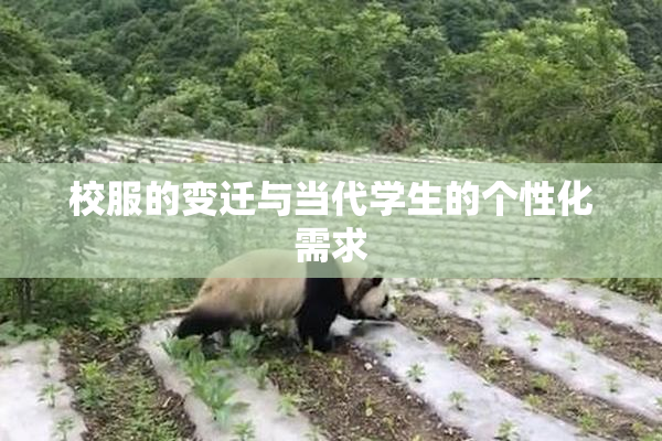 校服的变迁与当代学生的个性化需求