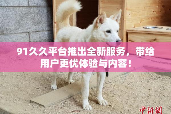 91久久平台推出全新服务，带给用户更优体验与内容！