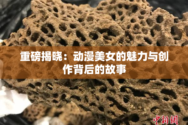 重磅揭晓：动漫美女的魅力与创作背后的故事