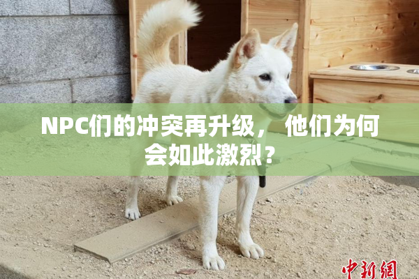 NPC们的冲突再升级， 他们为何会如此激烈？