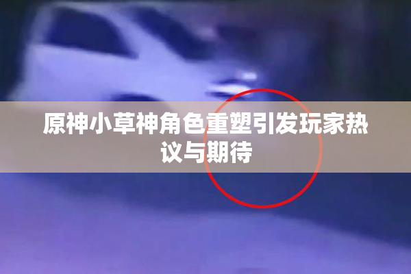 原神小草神角色重塑引发玩家热议与期待