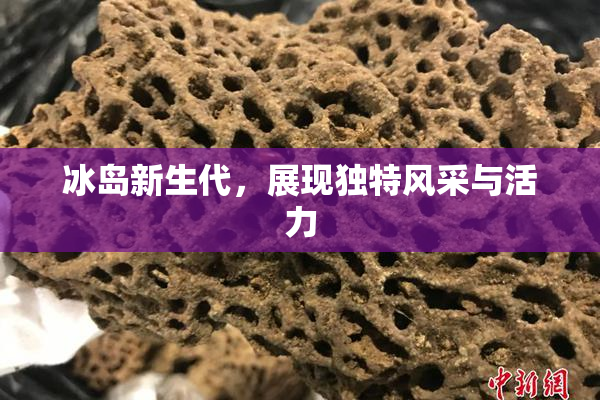 冰岛新生代，展现独特风采与活力