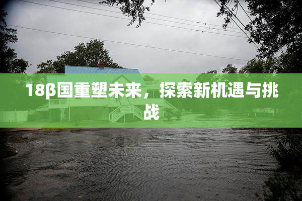 18β国重塑未来，探索新机遇与挑战