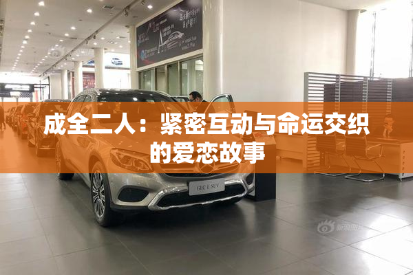 成全二人：紧密互动与命运交织的爱恋故事