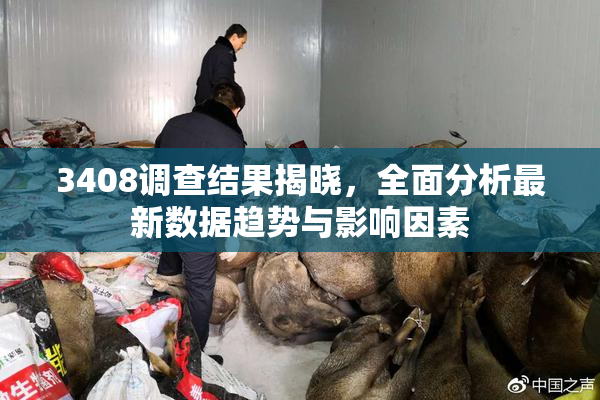 3408调查结果揭晓，全面分析最新数据趋势与影响因素