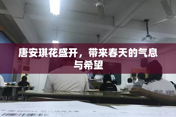 唐安琪花盛开，带来春天的气息与希望
