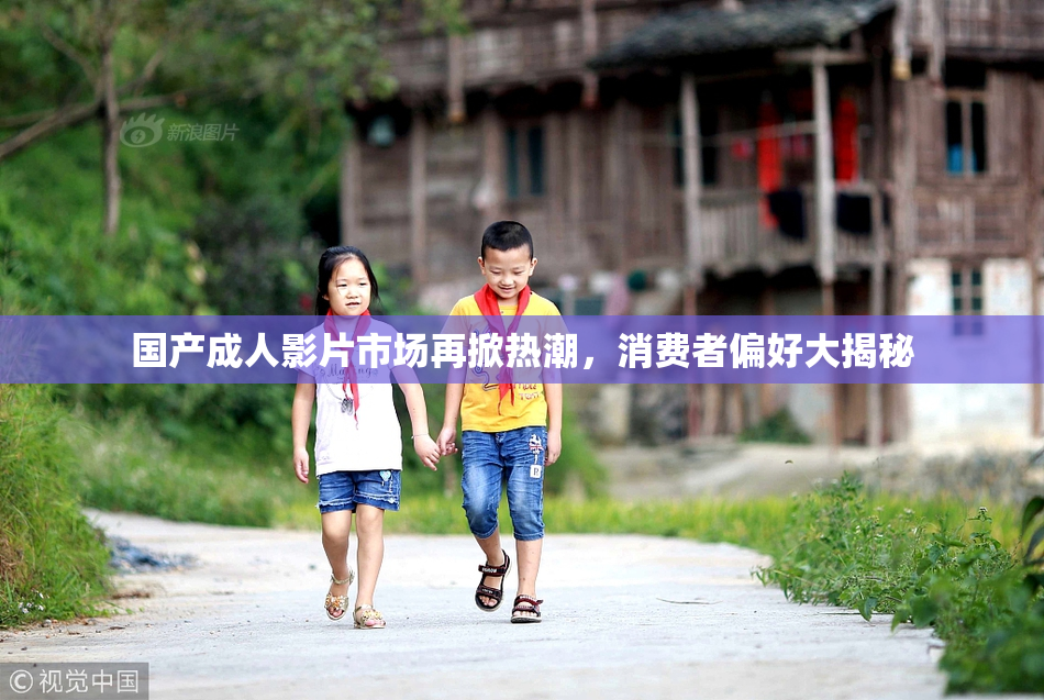 国产成人影片市场再掀热潮，消费者偏好大揭秘