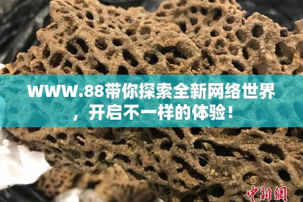 WWW.88带你探索全新网络世界，开启不一样的体验！