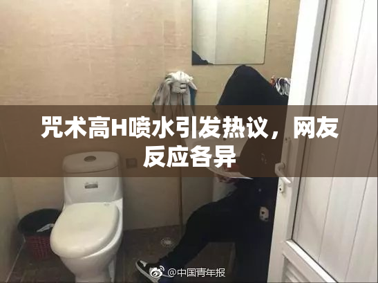 咒术高H喷水引发热议，网友反应各异