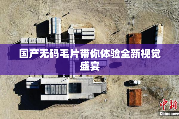国产无码毛片带你体验全新视觉盛宴