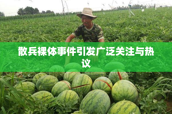 散兵裸体事件引发广泛关注与热议