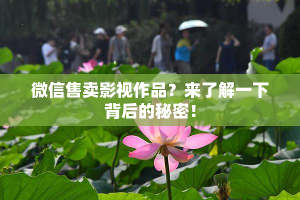 微信售卖影视作品？来了解一下背后的秘密！