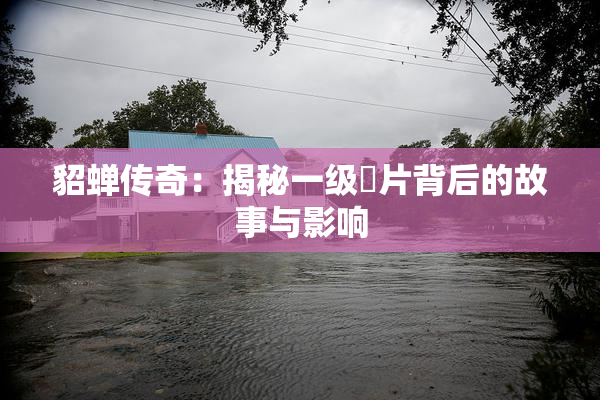 貂蝉传奇：揭秘一级婬片背后的故事与影响
