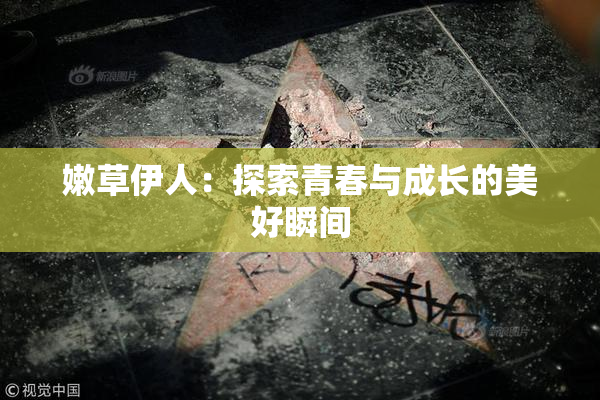 嫩草伊人：探索青春与成长的美好瞬间