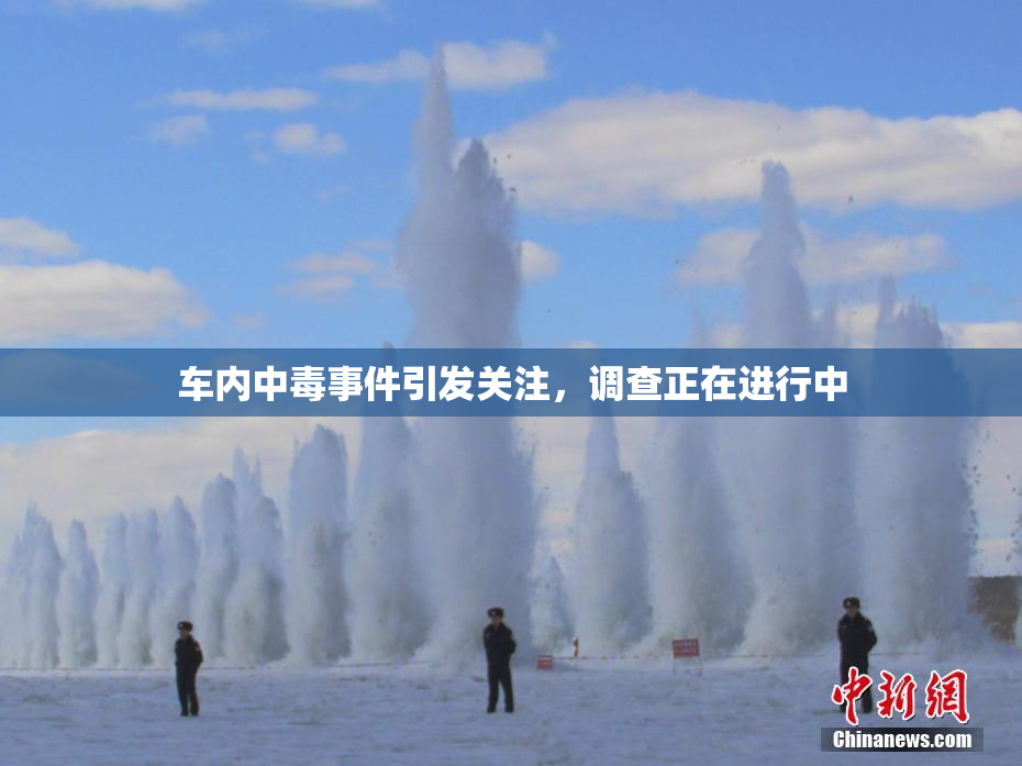 车内中毒事件引发关注，调查正在进行中