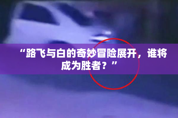 “路飞与白的奇妙冒险展开，谁将成为胜者？”