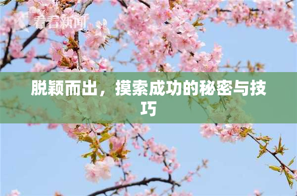 脱颖而出，摸索成功的秘密与技巧