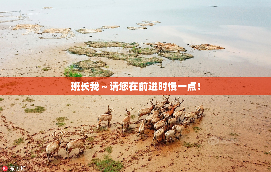 班长我～请您在前进时慢一点！