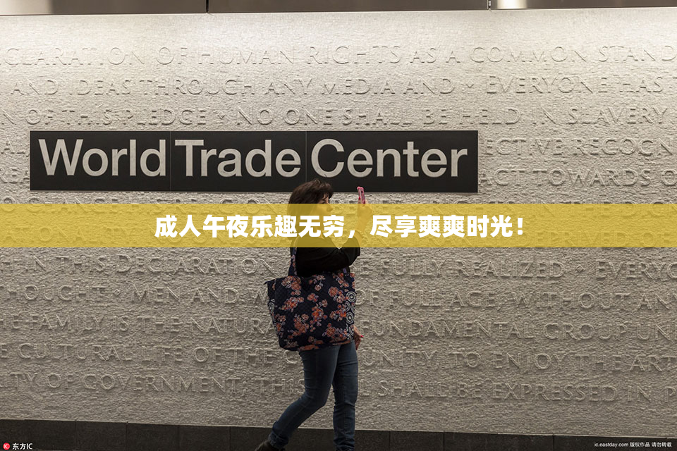 成人午夜乐趣无穷，尽享爽爽时光！